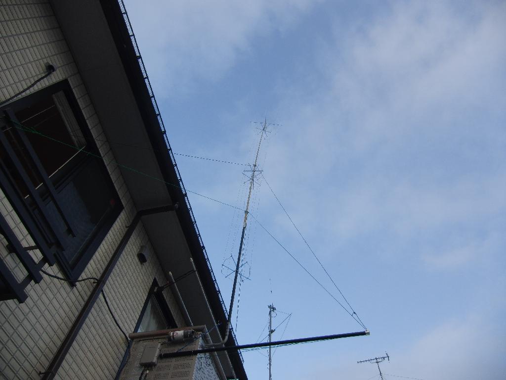 �A���e�i�S�i